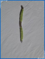 /album/aprecie-esta-arte-e-faca-a-sua-moda/p8-mod-4-jpg/